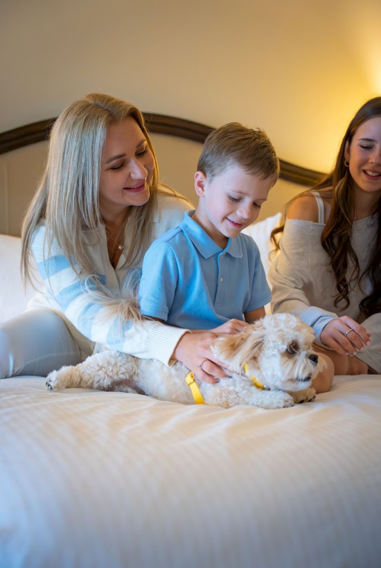 A family with a woman, child, and another person are sitting on a bed, petting a small white dog lying down.