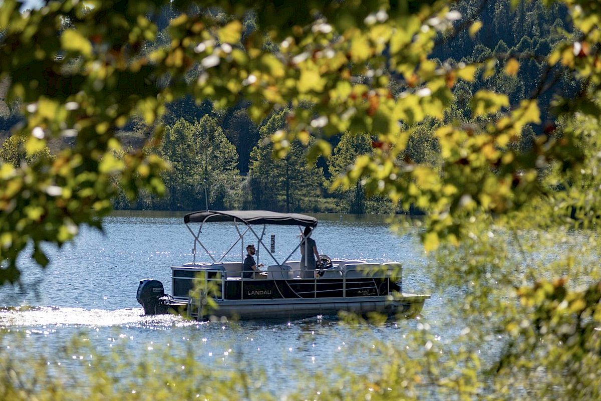 A boat with a canopy is cruising on a lake, framed by tree branches and leaves in the foreground, with a backdrop of green trees and hills.