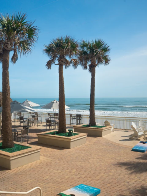 A sunny beachside scene with palm trees, a thatched hut, umbrellas, chairs, and a view of the ocean.