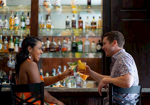 Two people are sitting at a bar, smiling and toasting with cocktails. Bottles of liquor are displayed on shelves behind the bar.