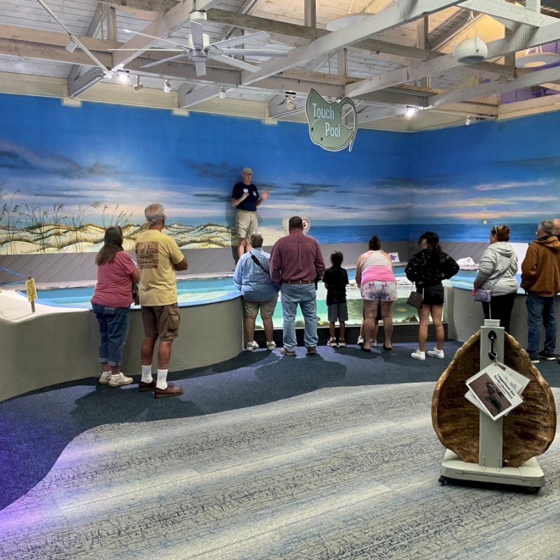 A group of people are gathered around an indoor touch pool with a guide explaining marine life, with walls painted like a beach scene.