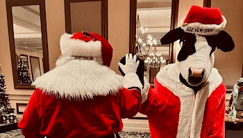 Someone dressed as Santa and a person in a cow costume are giving each other a high five in a festive setting.