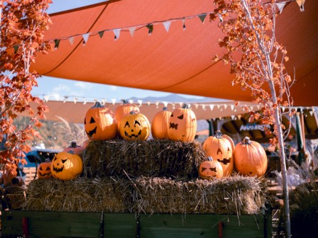 Pumpkins carved as Halloween faces are displayed on hay bales under a tent with autumnal trees and string lights.