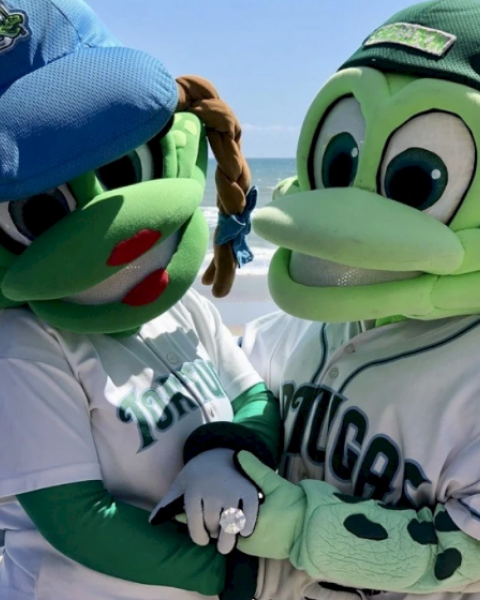 Two green frog mascots in baseball uniforms are holding hands on a beach.