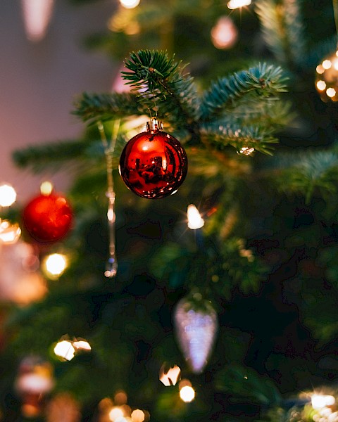 A decorated Christmas tree with red and gold ornaments and soft glowing lights, creating a festive and warm ambiance.