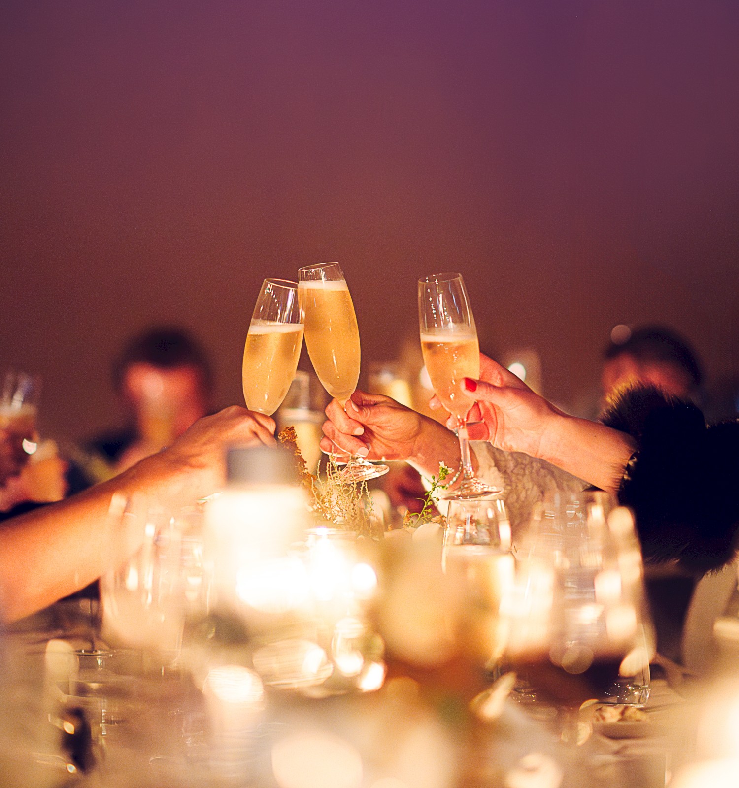 People are toasting with champagne glasses in a warmly lit setting, suggesting a celebration or special occasion.