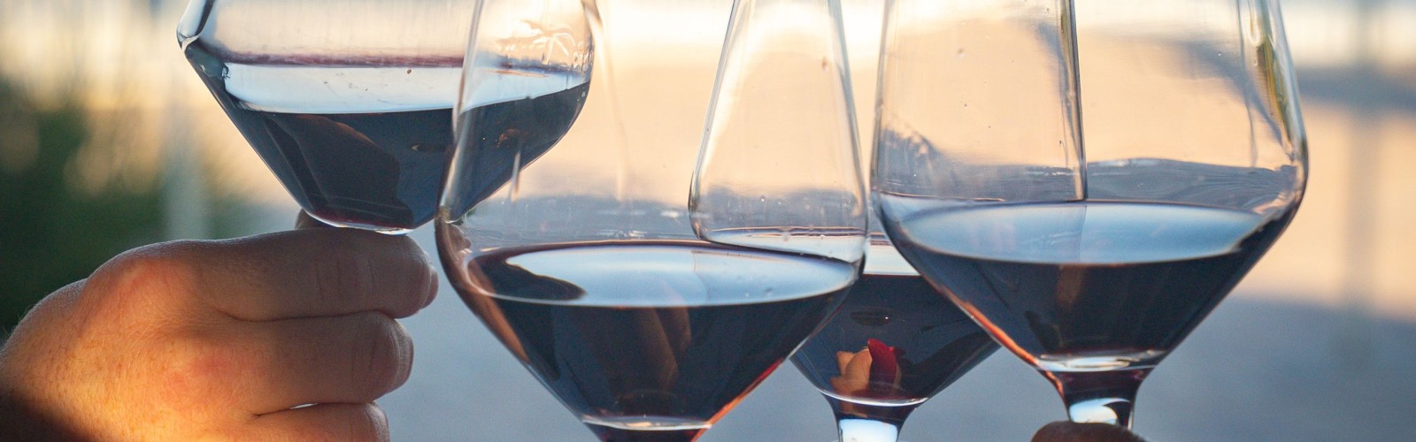 People are clinking wine glasses in a celebratory manner with a seaside background.