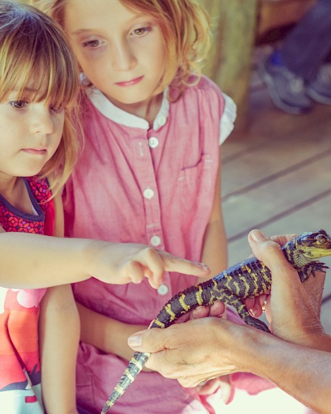 Two children are observing and pointing at a small crocodile being held by an adult.