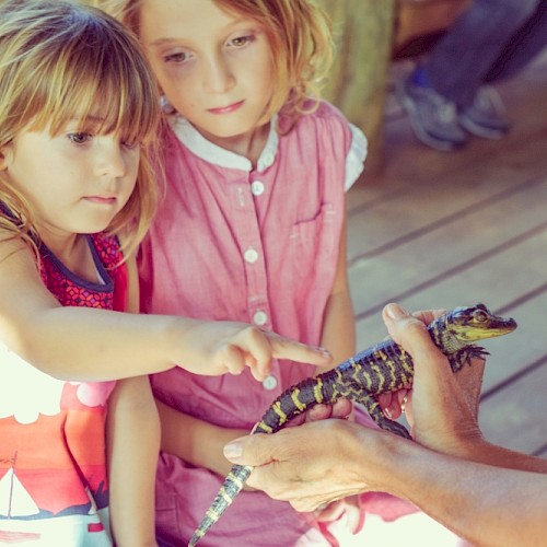 Two young girls observe and touch a lizard held by a person, engaging closely with nature on a wooden deck.