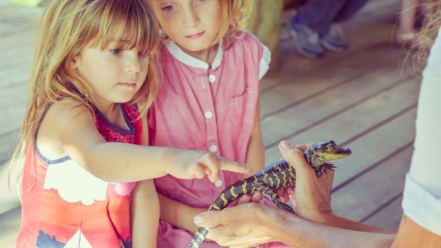 Two young girls observe and touch a lizard held by a person, engaging closely with nature on a wooden deck.