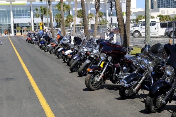 A row of parked motorcycles lines the street near palm trees and a building in the background on a sunny day.