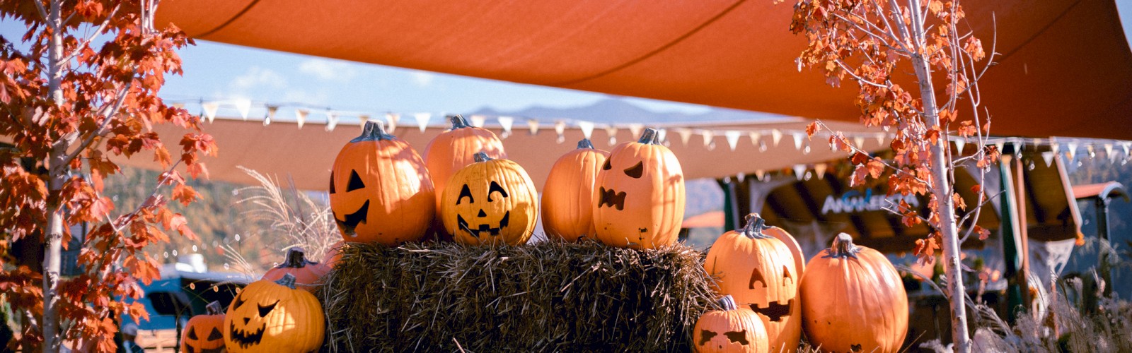 A display of carved pumpkins with various faces sits on hay bales, surrounded by fall foliage and festive decorations under an awning.
