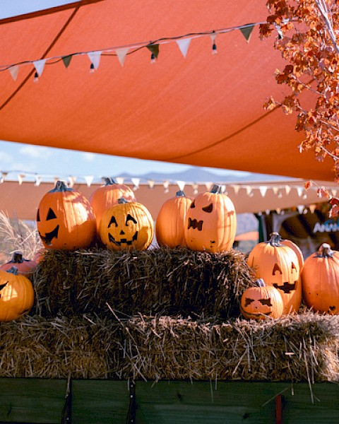 Halloween pumpkins with carved faces are displayed on hay bales under a canopy with string lights and autumn trees.