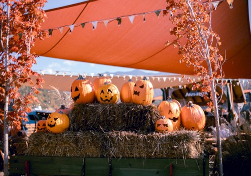 Halloween pumpkins with carved faces are displayed on hay bales under a canopy with string lights and autumn trees.