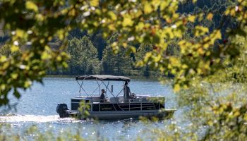 A boat is cruising on a lake, framed by tree leaves in the foreground, with lush green forest in the background.