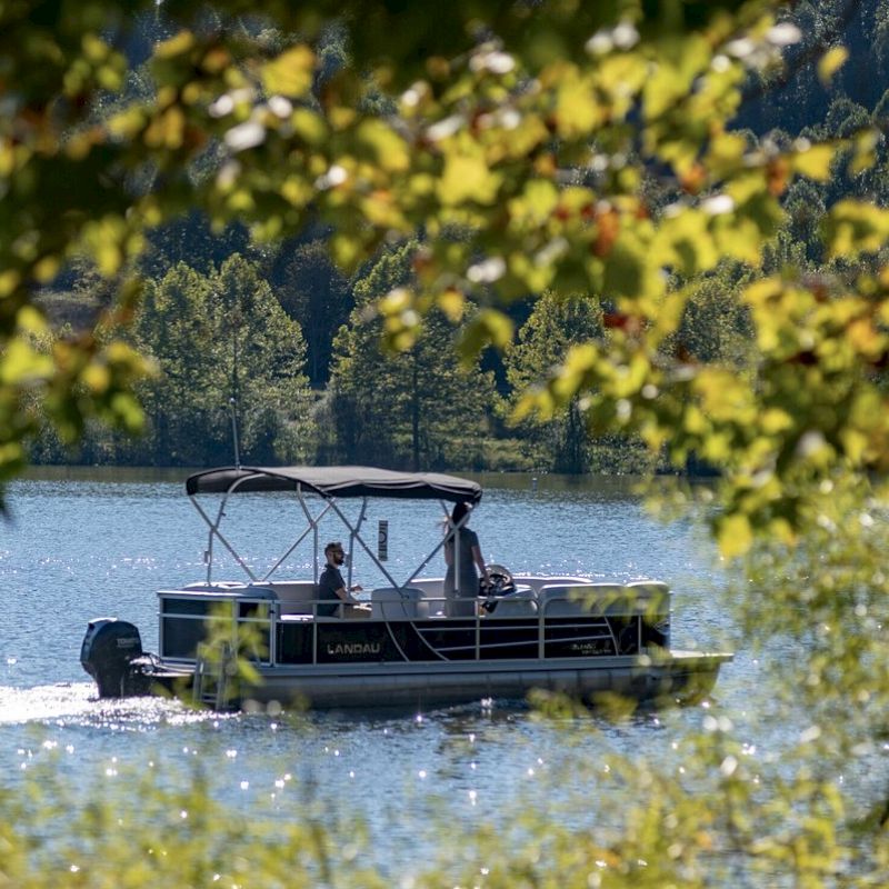 A boat with a canopy is cruising on a lake, framed by green foliage in the foreground with leafy trees and a forested area in the background.