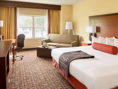 A well-lit hotel room with a bed, sofa, desk, chair, TV, and large window. The room features modern decor and a patterned carpet, ending the sentence.