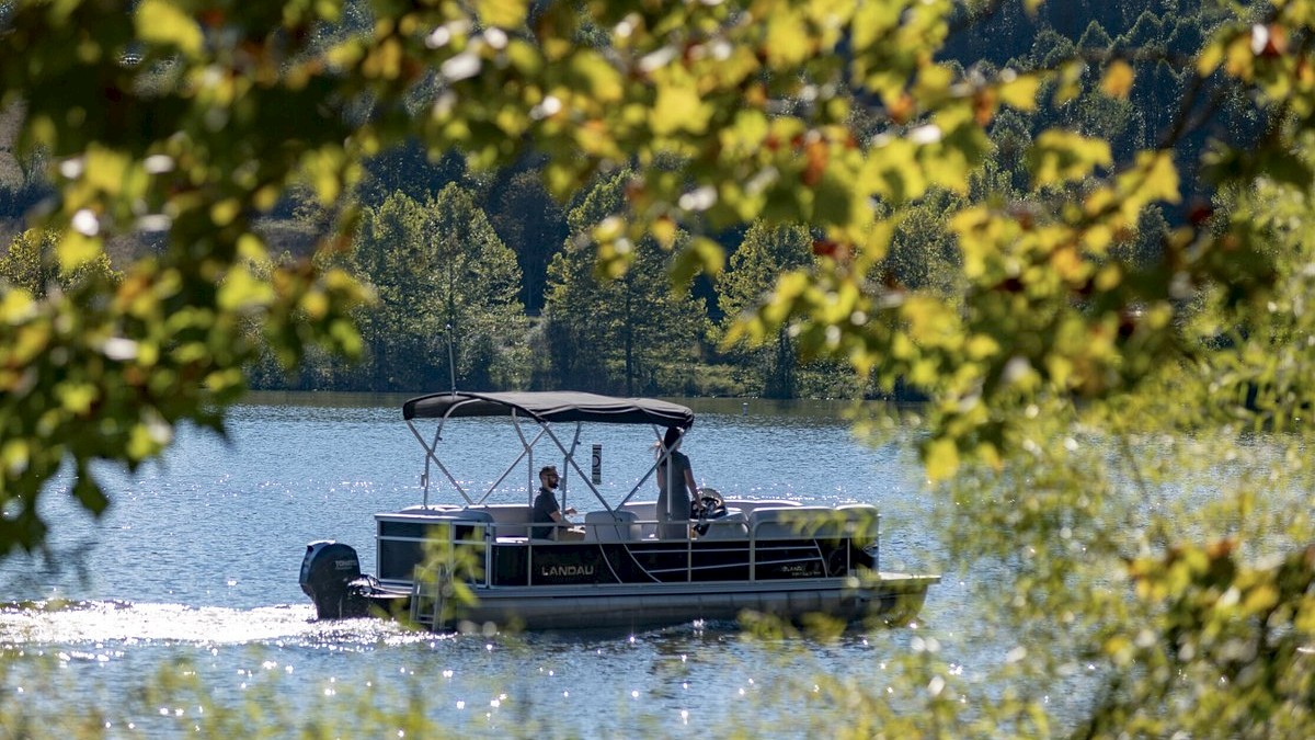 A small boat with a canopy is sailing on a serene lake, surrounded by trees and greenery, viewed through a natural frame of leaves ending the sentence.