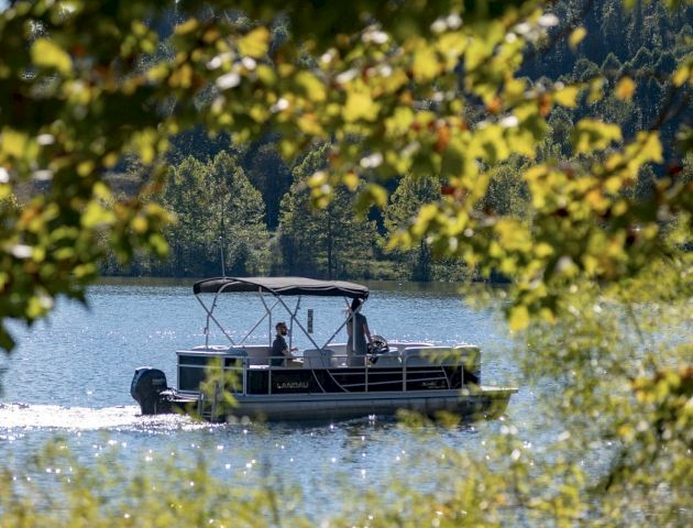 A boat cruises on a lake surrounded by lush greenery, viewed through a natural frame of leaves with a forested background.